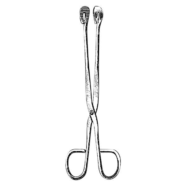 Utility Forceps 8 in Ea