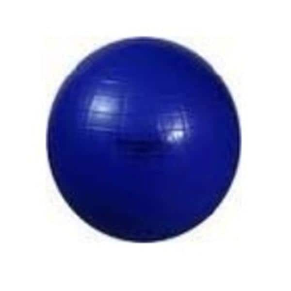 Thera-Band Pro Series Exercise Ball Vinyl 75cm Blue, 10 EA/CA