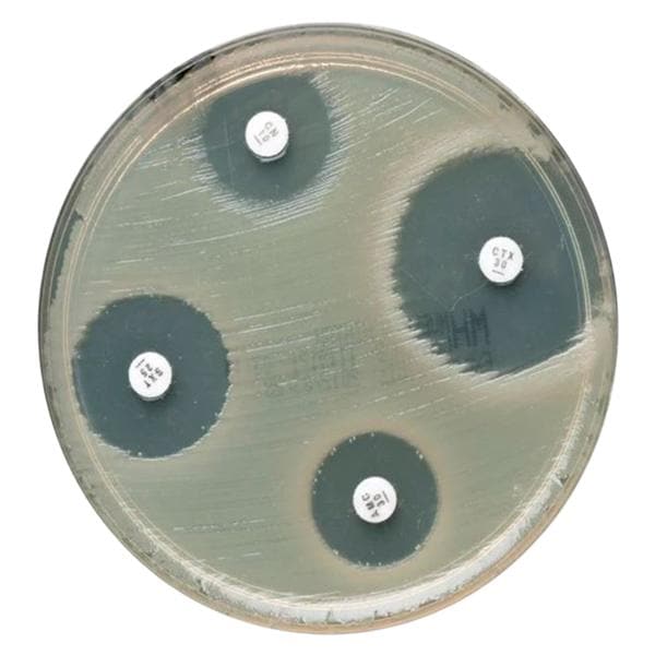 Culture Mueller-Hinton Agar Plate 10/Pk