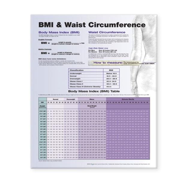 BMI & Waist Circumference 20x26" Educational Chart Ea