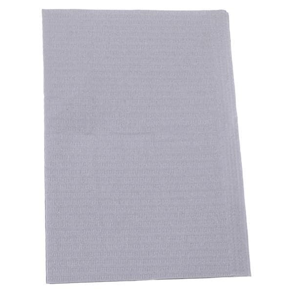 Essentials Patient Bib 2 Ply Tiss/Poly 13 in x 18 in Slvr/Gry Disposable 500/Ca
