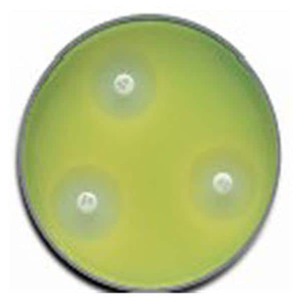 BBL Prepared Media Mueller Hinton II Agar Plate 100/Pk