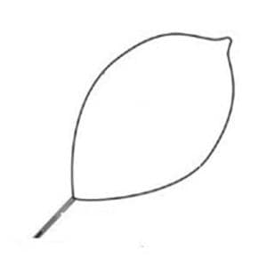 Optimizer Polypectomy Snare 230cm Oval Large Soft Loop Wire Sterile Dsp 10/Ca