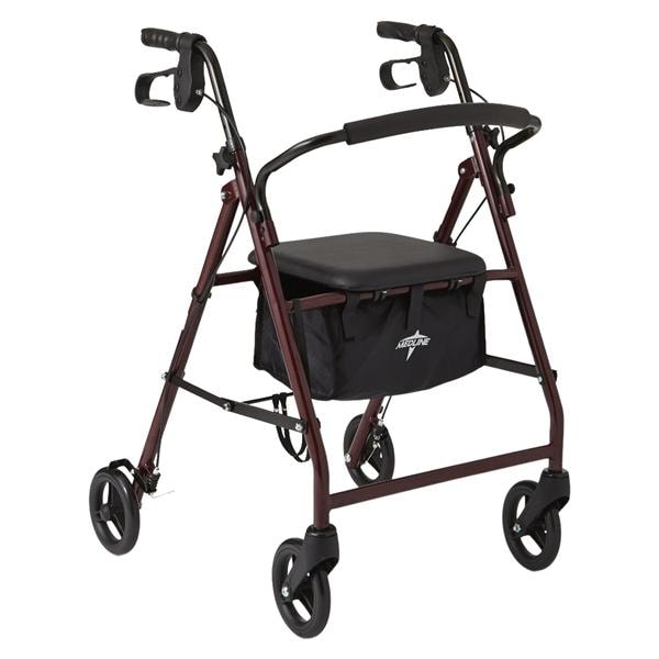 Basic Rollator 250lb Capacity 4-6" Wheels