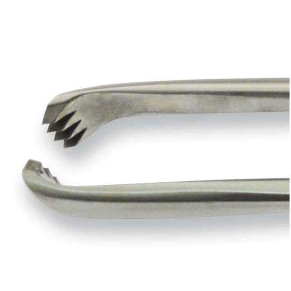 Teale Tenaculum Forcep Slight Curve 9-3/4" Stainless Steel Ea