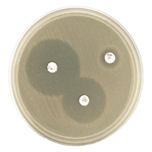 H. Test Culture Plate 10/Pk