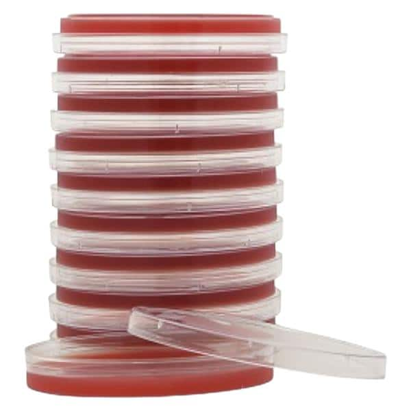 TSA: Trypticase Soy Agar Culture Plate 15x100mm 10/Pk