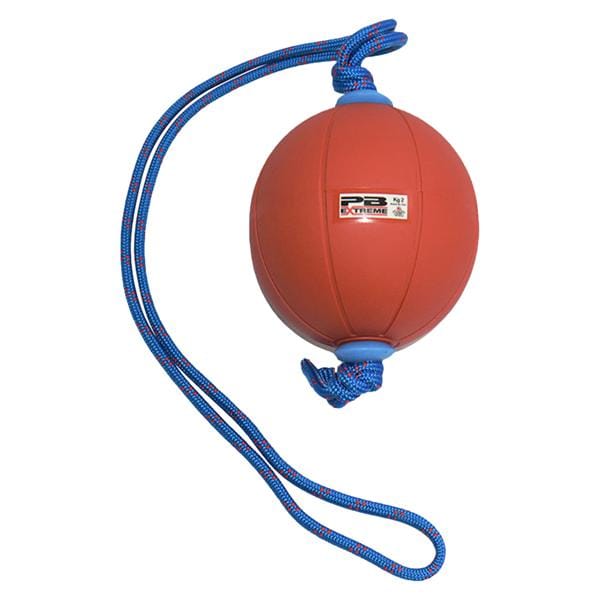 Converta-Balls Medicine Ball