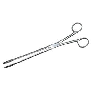 Boston Ovum Forcep 13-1/2" Ea