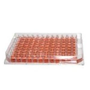 Fisherbrand Storage Microplate Natural 96 Well 60/Pk