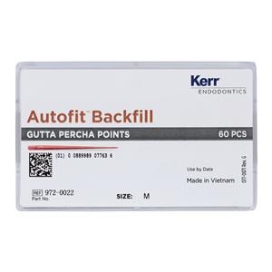 Autofit Backfill Cones Gutta Percha 60/Pk