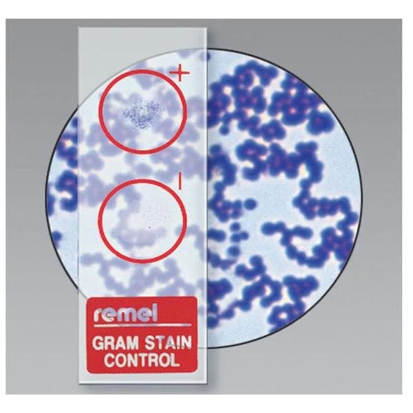 QC-Slide Gram Stain Control Slide Glass 10/Pk