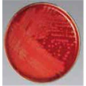 Strep Agar 12x85mm Monoplate 10/Pk