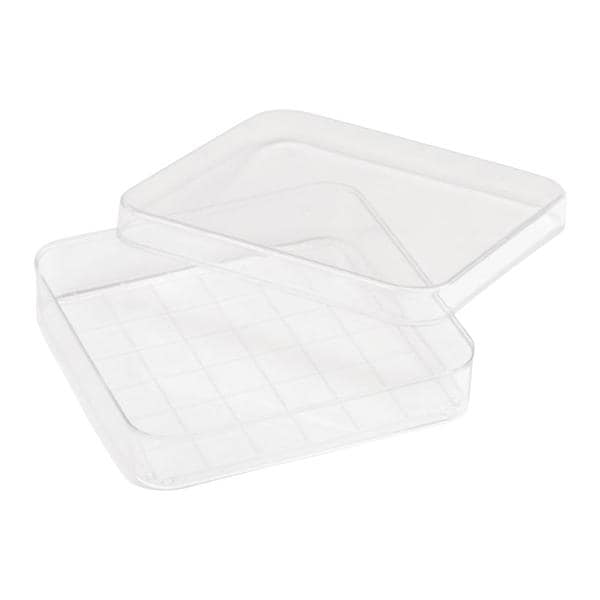 Petri Dish Polystyrene Square 100x100mm 500/Ca