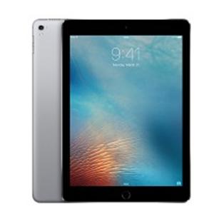 iPad Pro 256 9.7" Display Ea