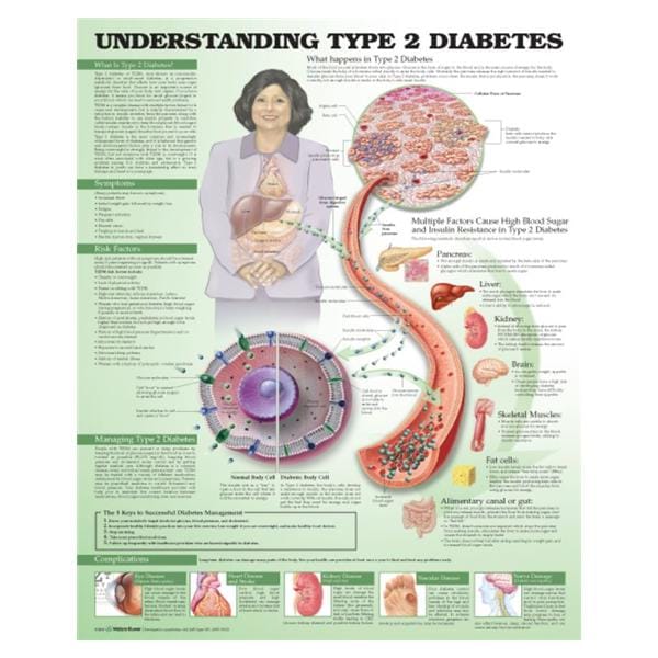 Understanding Type 2 Diabetes 20x26" Educational Chart Ea