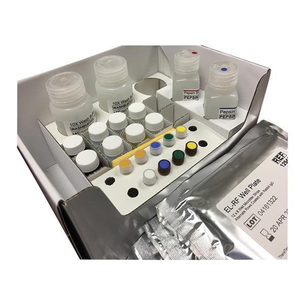 EL-RF/3 IgM/IgG/IgA Kit 60x3 Tests 1/Kt