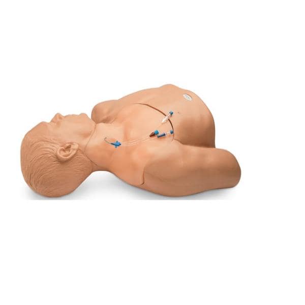 Ultrasound Central Line Training Manikin Training Model Ea