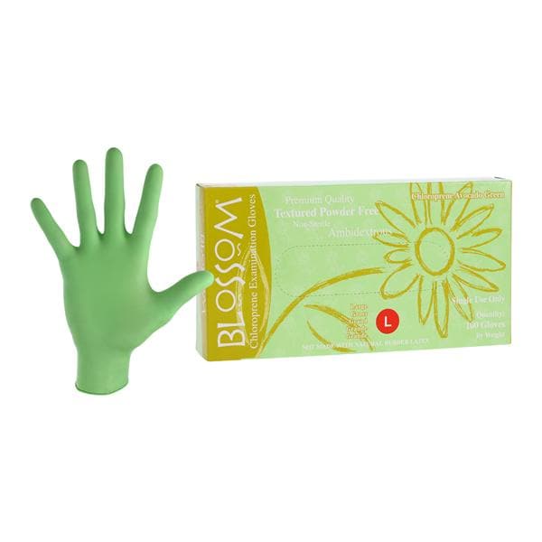 Chloroprene Gloves Large Non-Sterile