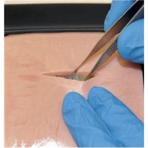 LifeLike Biotissue Double Layer Skin Suture Practice Training Pad Ea