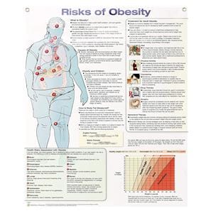 Chart Anatomical Risk of Obesity 20x26" Ea