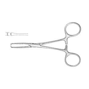 Allis Tissue Forcep 6-1/4" Ea