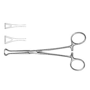 Babcock Tissue Forcep 6-1/4" Ea