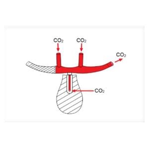 CO2 Sampling Nasal Cannula Pediatric Disposable 25/Ca