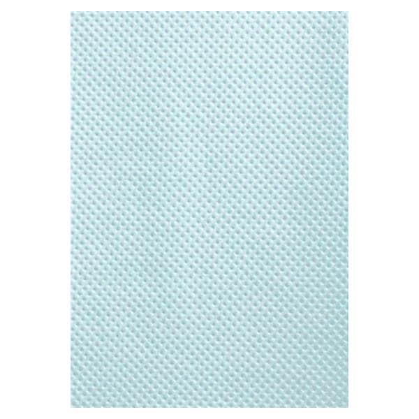 Patient Bib 2 Ply Tissue / Poly 13.5 in x 18 in Blue Disposable 500/Ca