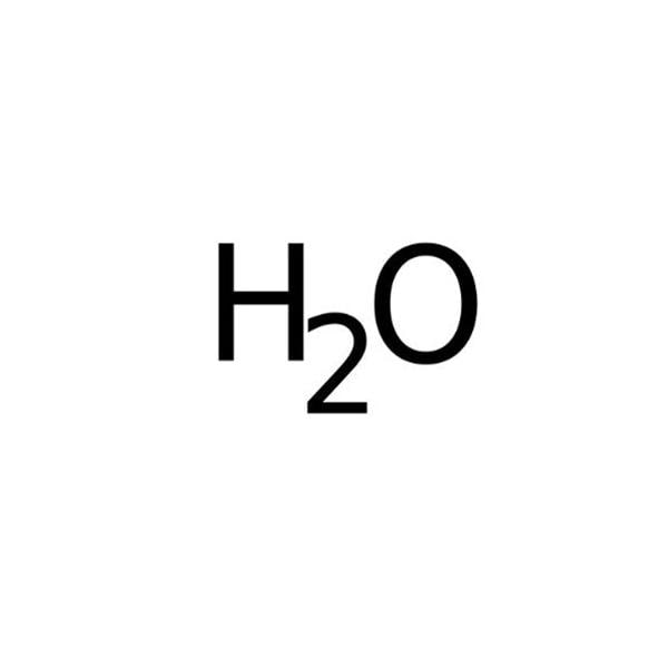 BioReagents DNase/RNase-Free Water 1/Bt