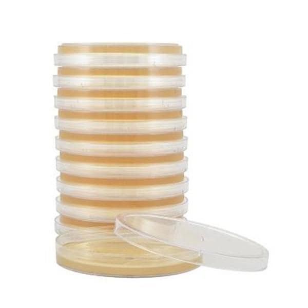 Trypticase Soy Agar Plate 10/Pk