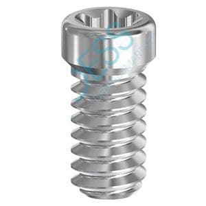 Final Screw 4.1/4.8/6.5 Straumann Tissue Level Ea