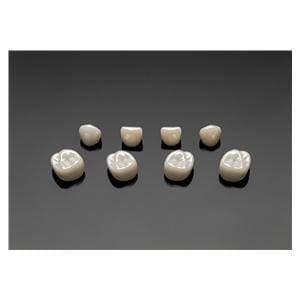 ACERO Zirconia Crowns 2nd Primary Lower Right Molar 1/Bag Ea