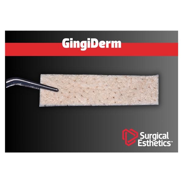 GingiDerm Acellular Dermal Matrix Allograft Human Tissue 10x40mm Ea