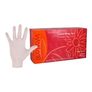 Blossom Latex Exam Gloves Large White Non-Sterile