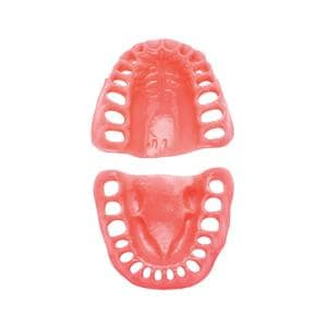 PVF-8612/Gingival Typodont Model Ea