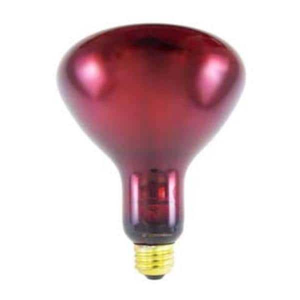 Bulb INF. Red Ruby 175watt 175watt ea ea