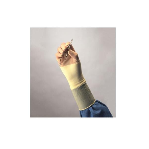 Synthetic Polyisoprene Surgical Gloves 8 Cream