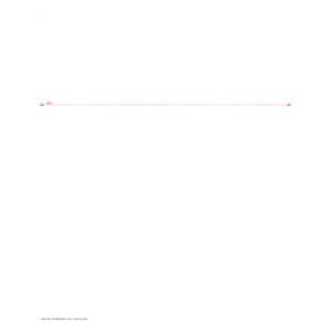 Laser Statement Paper Pastel White With Perforated Remittance Stub 500/Pk
