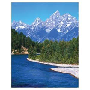 CeilingScenes Acoustic Tile Mountain View & Stream 1-Tile Horizontal 24x24" Ea