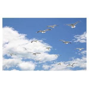 CeilingScenes Light Lens Seagull Sky 1-Tile Square 24 in x 24 in Ea