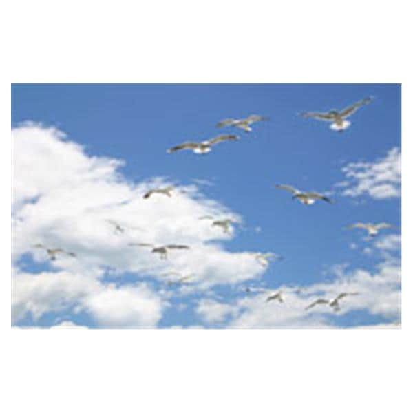 CeilingScenes Light Lens Seagull Sky 1-Tile Square 24 in x 24 in Ea