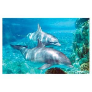 CeilingScenes Acoustic Tile Dolphins 2-Tiles Vertical 24 in x 48 in Ea