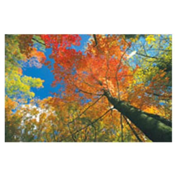 CeilingScenes Acoustic Tile Fall Tree Sky 2-Tiles Vertical 24 in x 24 in Ea