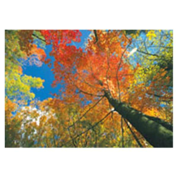 CeilingScenes Acoustic Tile Fall Tree Sky 1-Tile Square 24 in x 24 in Ea