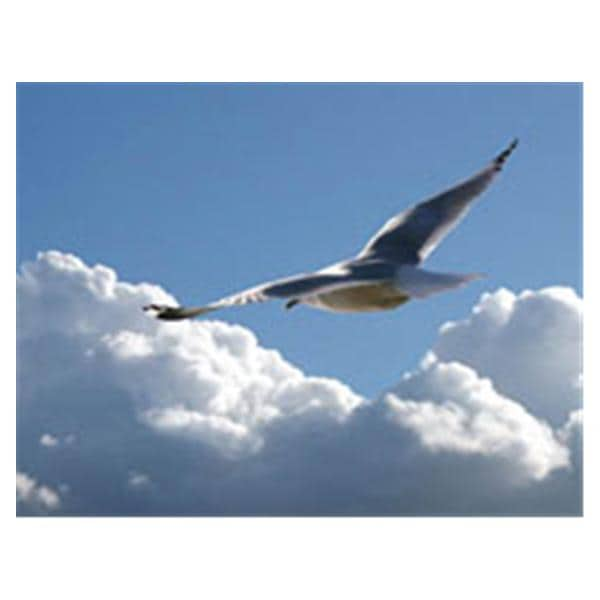 CeilingScenes Acoustic Tile Seagull Soaring 4-Tiles Square 24 in x 24 in Ea