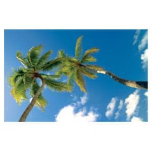 CeilingScenes Acoustic Tile Palms Sky 2-Tiles Vertical 24 in x 48 in Ea