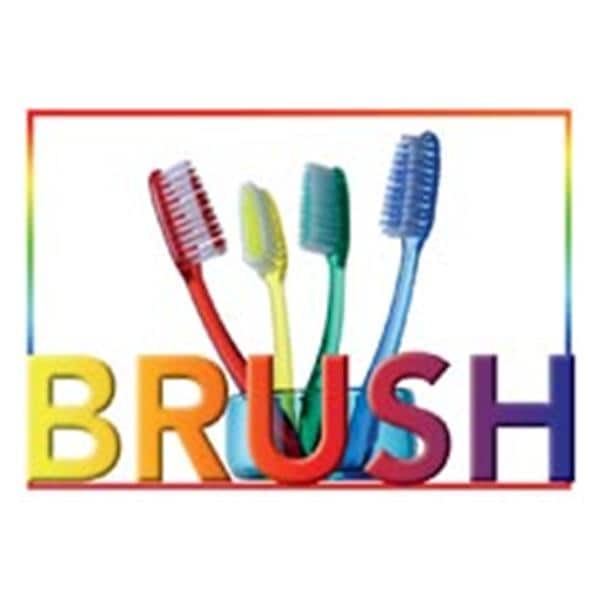 Laser 4-Up Recall Cards Brush 4 Brushes 8.5 in x 11 in 200/Pk
