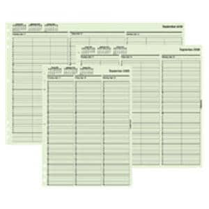 TimeScan Looseleaf 1ColumnDated 8.5x11 Ea