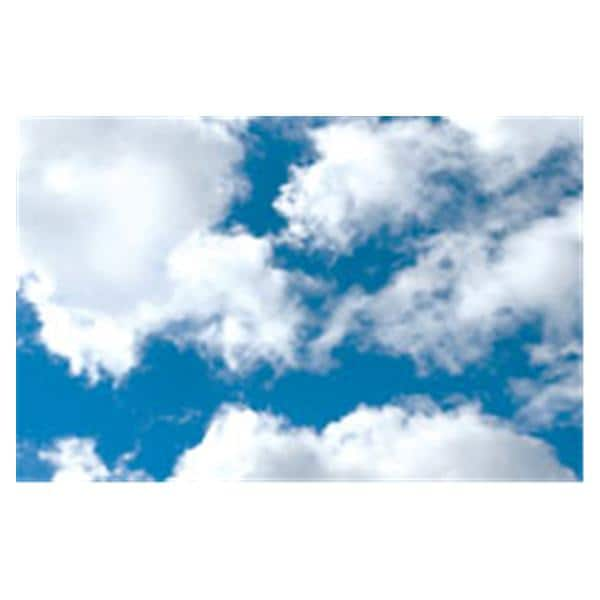 CeilingScenes Light Lens Clouds 2-Tiles Horizontal 48 in x 24 in Ea